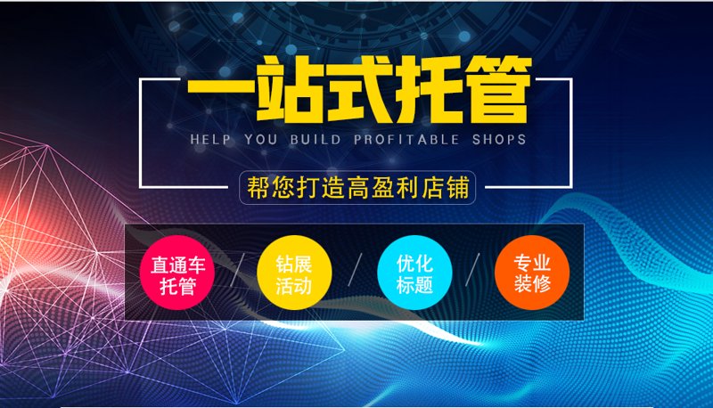 站群程序出售：企业运营的新趋势与挑战